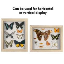 Shadow Box Frame 1.5 Inches Deep Box Frame For Objects Pictures And Memorabilia -Americanflat GUEST 01eb90ca cb73 40b1 b752 fe5071a7e2b1