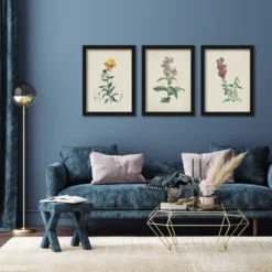 (Set Of 3) Traditional Botanicals By Victoria Barnes Framed Triptych Wall Art Set - Americanflat