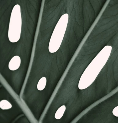 Americanflat 71" X 74" Shower Curtain Style 1 By ArtPrink 6 Americanflat 71" X 74" Shower Curtain Style 1 By ArtPrink - Image 4