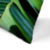 Green Palm Leaf By Tanya Shumkina Throw Pillow - Americanflat 1 Green Palm Leaf By Tanya Shumkina Throw Pillow - Americanflat -Americanflat GUEST 1ac30823 450b 447c acbc 1183ad1a27a1