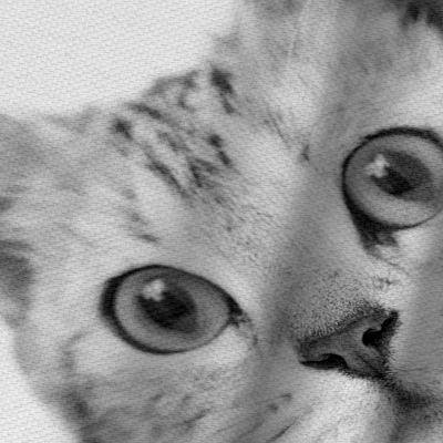 Americanflat 71" X 74" Shower Curtain By NUADA 5 Americanflat 71" X 74" Shower Curtain By NUADA - Image 3