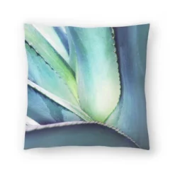 Mexico Cactus By Tanya Shumkina Throw Pillow - Americanflat 13 Mexico Cactus By Tanya Shumkina Throw Pillow - Americanflat -Americanflat GUEST 28dcb2ab 207b 4dc5 8250 e669b7c5bcca