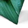 Banana Leaf By Tanya Shumkina Throw Pillow - Americanflat 2 Banana Leaf By Tanya Shumkina Throw Pillow - Americanflat -Americanflat GUEST 3685cdec a48f 42ae b3c1 25d00aed9152