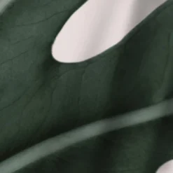 Americanflat 71" X 74" Shower Curtain Style 1 By ArtPrink 15 Americanflat 71" X 74" Shower Curtain Style 1 By ArtPrink -Americanflat GUEST 3907e72e 4cdd 4f2e afc2 0baf34d4c8c6