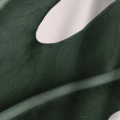 Americanflat 71" X 74" Shower Curtain Style 1 By ArtPrink 5 Americanflat 71" X 74" Shower Curtain Style 1 By ArtPrink - Image 3