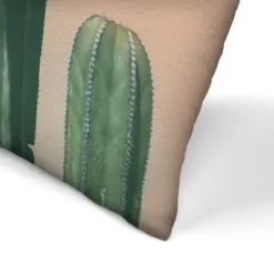 Succulents On Orange By Tanya Shumkina Throw Pillow - Americanflat