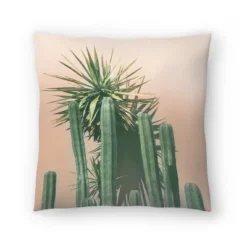 Succulents On Orange By Tanya Shumkina Throw Pillow - Americanflat 14 Succulents On Orange By Tanya Shumkina Throw Pillow - Americanflat -Americanflat GUEST 4bb829e0 8753 408d 9ea9 fc2e7f3e8436