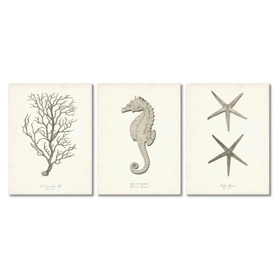 Set Of 3 Canvas Prints Costal Canvas Wall Art Set - Americanflat 9 Set Of 3 Canvas Prints Costal Canvas Wall Art Set - Americanflat - Image 7