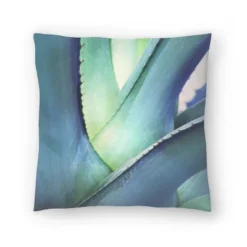 Agave Mexico By Tanya Shumkina Throw Pillow - Americanflat 13 Agave Mexico By Tanya Shumkina Throw Pillow - Americanflat -Americanflat GUEST 54e0a7a4 d748 4799 9289 04cac6dfea83