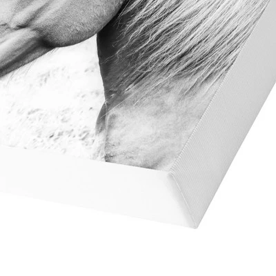 Americanflat Horse Love By Sisi And Seb Unframed Canvas Wall Art 5 Americanflat Horse Love By Sisi And Seb Unframed Canvas Wall Art - Image 3