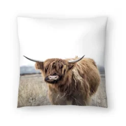 Highland Cow By Tanya Shumkina Throw Pillow - Americanflat 13 Highland Cow By Tanya Shumkina Throw Pillow - Americanflat -Americanflat GUEST 5f65de03 4cc3 4aac a5c7 928c8a0b1c52