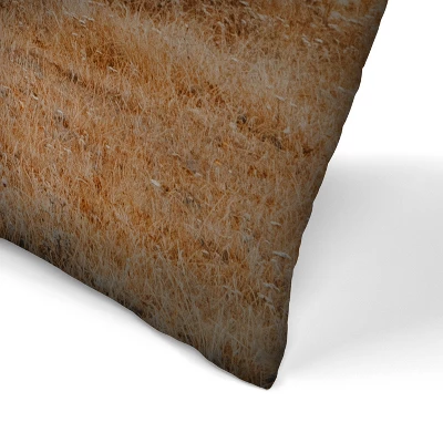 Farmhouse Landscape By Tanya Shumkina Throw Pillow - Americanflat 3 Farmhouse Landscape By Tanya Shumkina Throw Pillow - Americanflat