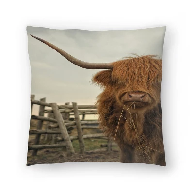 Cow Photo By Tanya Shumkina Throw Pillow - Americanflat 6 Cow Photo By Tanya Shumkina Throw Pillow - Americanflat - Image 4