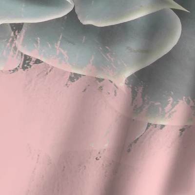 Americanflat Pink On Succulent By Emanuela Carratoni Blackout Rod Pocket Single Curtain Panel 50x84 3 Americanflat Pink On Succulent By Emanuela Carratoni Blackout Rod Pocket Single Curtain Panel 50x84