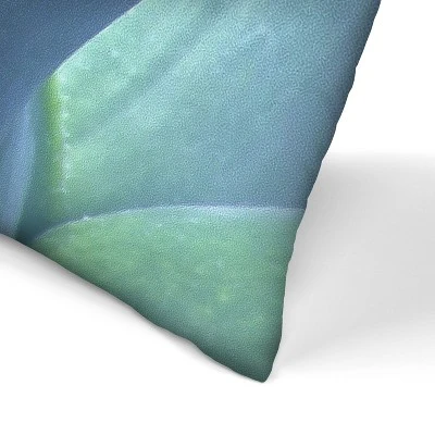 Agave Mexico By Tanya Shumkina Throw Pillow - Americanflat 3 Agave Mexico By Tanya Shumkina Throw Pillow - Americanflat