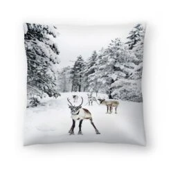 Nature Photo With Moose By Tanya Shumkina Throw Pillow - Americanflat 13 Nature Photo With Moose By Tanya Shumkina Throw Pillow - Americanflat -Americanflat GUEST 92d269b8 997e 444a 98e6 ce038f4ad2e9
