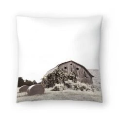 Old Barn By Tanya Shumkina Throw Pillow - Americanflat -Americanflat GUEST 944a3a35 082c 4b3a 9e6d d9f167819725