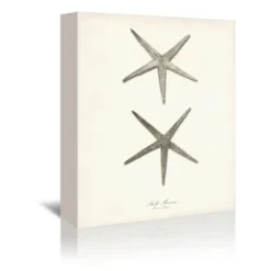 Set Of 3 Canvas Prints Costal Canvas Wall Art Set - Americanflat 12 Set Of 3 Canvas Prints Costal Canvas Wall Art Set - Americanflat -Americanflat GUEST a5542c57 22ee 43e6 a0ed d4c0d18268e0