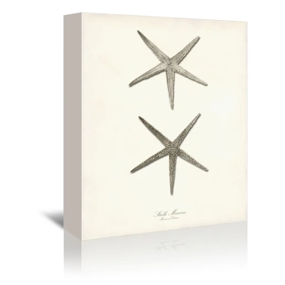 Set Of 3 Canvas Prints Costal Canvas Wall Art Set - Americanflat 6 Set Of 3 Canvas Prints Costal Canvas Wall Art Set - Americanflat - Image 4