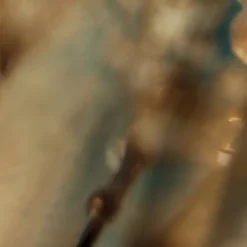 Americanflat 71" X 74" Shower Curtains - Available In Variety Of Styles -Americanflat GUEST a8dfeb20 8f4b 411d 852e c21ea804b1a1