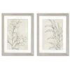 Botany Sketches By Karyn Panganiban - 2 Piece Gallery Framed Print Art Set -Americanflat GUEST baeb7e4b 5645 452e 8fc7 c557d77596c8