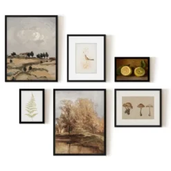 Americanflat 6 Piece Vintage Gallery Wall Art Set - Fall Study, Autumn In The Hills, Mushrooms, Light Bird, Fern Frond By Maple + Oak 11 Americanflat 6 Piece Vintage Gallery Wall Art Set - Fall Study, Autumn In The Hills, Mushrooms, Light Bird, Fern Frond By Maple + Oak -Americanflat GUEST ceeed54b 5481 4731 a63f 59d55e596b8d
