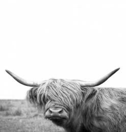 Americanflat 71" X 74" Shower Curtain By Artvir 14 Americanflat 71" X 74" Shower Curtain By Artvir -Americanflat GUEST d5972ff2 2e18 4e47 adc5 d274a13f1d0c