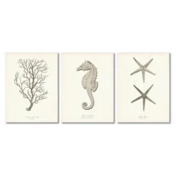 Set Of 3 Canvas Prints Costal Canvas Wall Art Set - Americanflat 14 Set Of 3 Canvas Prints Costal Canvas Wall Art Set - Americanflat -Americanflat GUEST ed5a54ba 36f5 4b25 9d35 35a72306a652