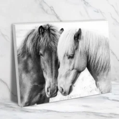 Americanflat Horse Love By Sisi And Seb Unframed Canvas Wall Art 12 Americanflat Horse Love By Sisi And Seb Unframed Canvas Wall Art -Americanflat GUEST ee2f48c0 2888 4e44 90d9 5f6a739153a8