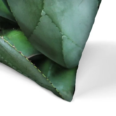 Agave On Pink By Tanya Shumkina Throw Pillow - Americanflat 3 Agave On Pink By Tanya Shumkina Throw Pillow - Americanflat