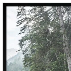 Americanflat 3 Piece 16x20 Wrapped Canvas Set - Green Forest By Artvir - Botanical Landscape Wall Art 8 Americanflat 3 Piece 16x20 Wrapped Canvas Set - Green Forest By Artvir - Botanical Landscape Wall Art -Americanflat GUEST f0934c8f b840 4e65 9c00 3b9243bae47b