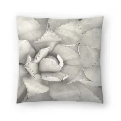 Succulent Plant Sepia By Tanya Shumkina Throw Pillow - Americanflat 15 Succulent Plant Sepia By Tanya Shumkina Throw Pillow - Americanflat -Americanflat GUEST f2464cca a935 4402 881a f0ff8e6ed276
