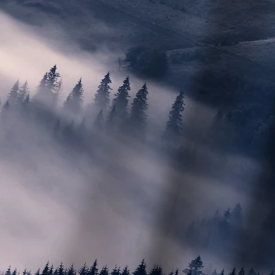 Morning Sun By Sisi And Seb Wall Tapestry 4 Morning Sun By Sisi And Seb Wall Tapestry - Image 2