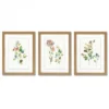 Flower Market By PI Creative Art - 3 Piece Gallery Framed Print Art Set 2 Flower Market By PI Creative Art - 3 Piece Gallery Framed Print Art Set -Americanflat GUEST f92cbf64 0a8a 4452 8edd dcbe8f32c126