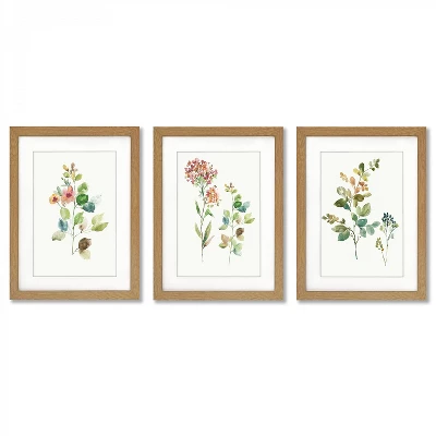 Flower Market By PI Creative Art - 3 Piece Gallery Framed Print Art Set 3 Flower Market By PI Creative Art - 3 Piece Gallery Framed Print Art Set