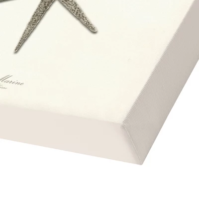 Set Of 3 Canvas Prints Costal Canvas Wall Art Set - Americanflat 7 Set Of 3 Canvas Prints Costal Canvas Wall Art Set - Americanflat - Image 5